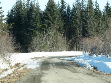 L8 B1 Laduquesa Ln, Anchor Point, AK 99556 - photo 4