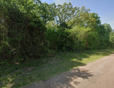 0 Lakeview Dr unit 25566071, Trinidad, TX 75163 - photo 2