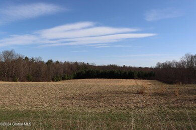 1 Chuck Hollow Dr, Milton, NY 12020 - photo 4