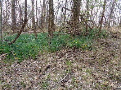 0 Seaville Rd, Willisburg, KY 40078 - photo 7