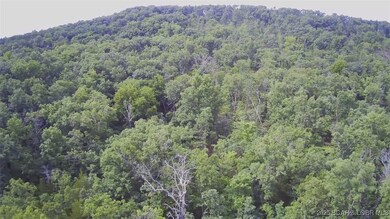 Drone view of the center of the largest part of th