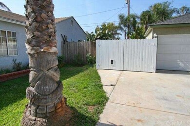 Many beautiful Palms! This one has been customized