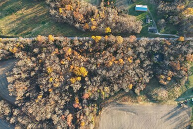 0 N County Road 800 Tract D N, Elizabethtown, IN 47232 - photo 5