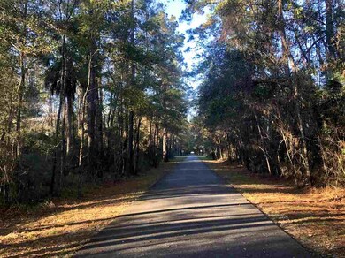 x Flag Lot Off Terrace Ln, Crawfordville, FL 32327 - photo 5