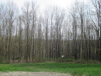 3242 County Road 739, Loudonville, OH 44842 - photo 4