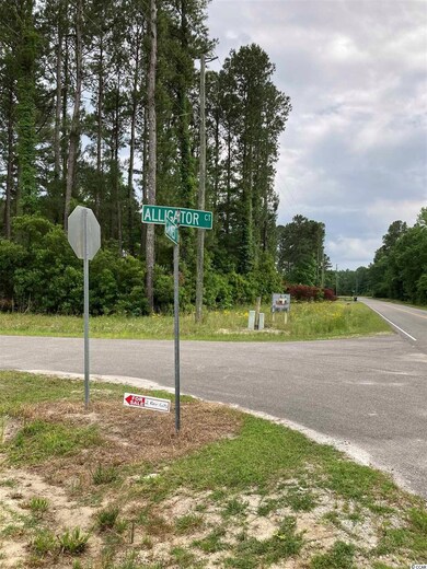 5234 Alligator Ct unit Lot 18 Caines Landin, Conway, SC 29526 - photo 2