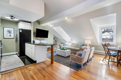 67 Worcester St unit 5, Boston, MA 02118 - photo 5