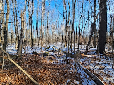 R09-L13-3 Ski Slope Rd, Farmington, ME 04938 - photo 3