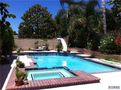 Sparkling Pool and Spa