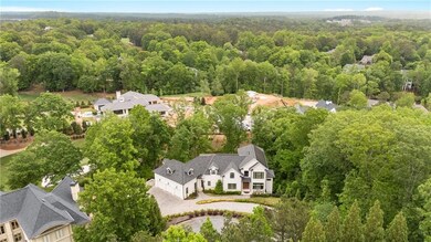 Drone / aerial view of a forest