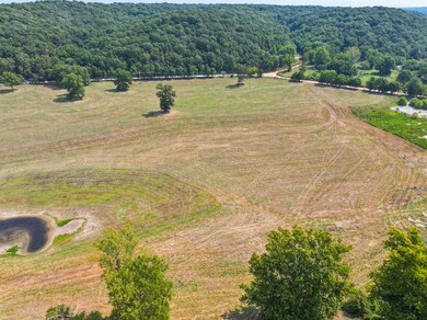 64879 E 202 Rd, Wyandotte, OK 74370 - photo 7