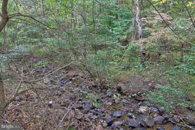 719 Gid Brown Hollow Rd, Washington, VA 22747 - photo 7