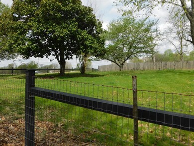 Large fenced front yard showing mature trees. 