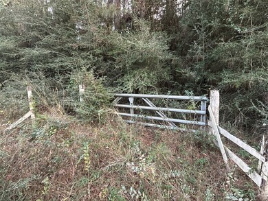 28655 Joseph Rd, Hockley, TX 77447 - photo 5