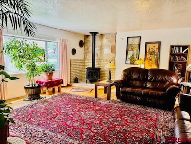 102 E Montezuma Ave, Cortez, CO 81321 - photo 3