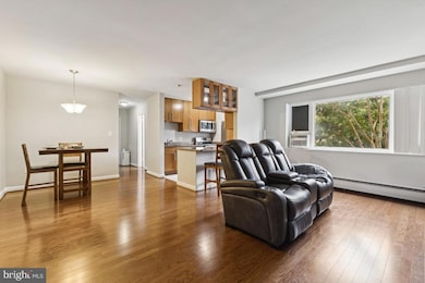 111 Lee Ave unit 110, Takoma Park, MD 20912 - photo 3