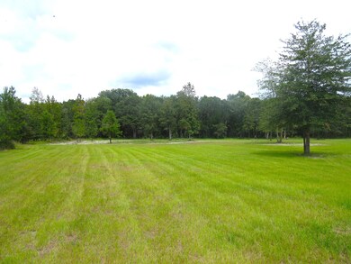 55051 Countree Life Way, Callahan, FL 32011 - photo 3