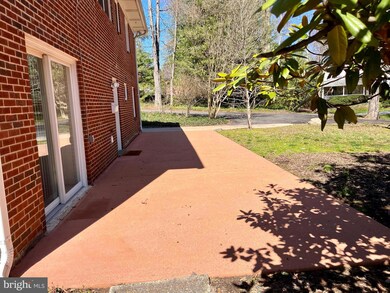 424 Great Falls St unit LOWER APT, Falls Church, VA 22046 - photo 5