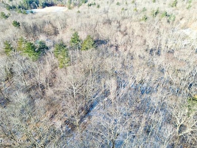 Lot 19-I W Center Rd, Otis, MA 01253 - photo 2