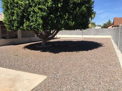 Back yard