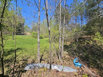 5005 Bunches Chapel Rd, Parsons, TN 38363 - photo 6