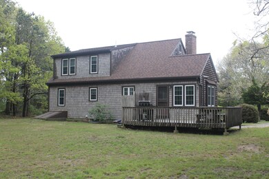 Backyard5
