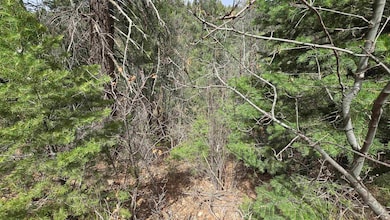 Lot2 Running Water Trail unit 2, High Rolls, NM 88317 - photo 6