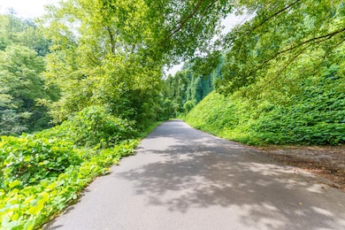 206 Caney Creek Rd, Pigeon Forge, TN 37863 - photo 5