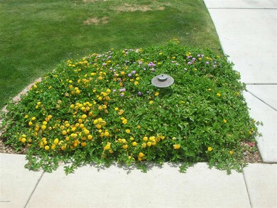 FRONT YARD FLOWERS