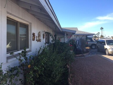 Front yard