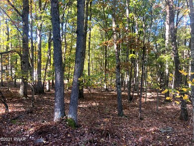 220 Tink Wig Dr, Lackawaxen Township, PA 18428 - photo 3