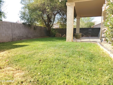 Backyard 2