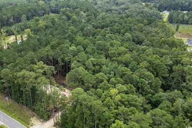 Aerial view of property and surrounding area with a forest