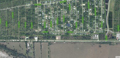 3917 Fonseca Ave, Sebring, FL 33872 - photo 3