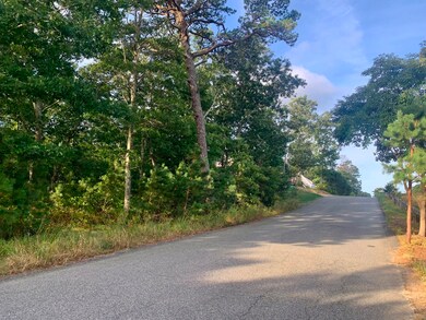 Baylis Woods Tashmoo Ave, Tisbury, MA 02568 - photo 2