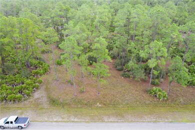 2210 Truman Ave, Alva, FL 33920 - photo 2