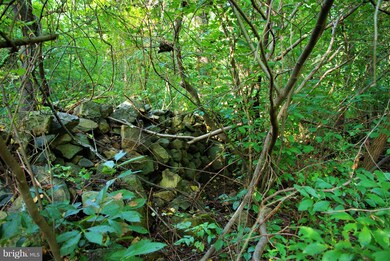 0 Withers Mill Rd unit 1002243054, Huntly, VA 22640 - photo 2