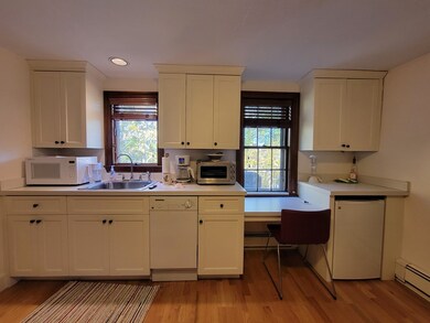 33 Weybridge Ln unit Studio, Brookline, MA 02445 - photo 4