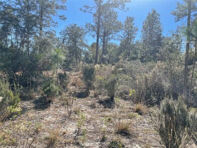 000 NE 51st Place, Williston, FL 32696 - photo 5