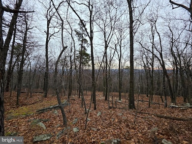 Lot 38 SEC V Breakeven Ln, Berkeley Springs, WV 25411 - photo 6