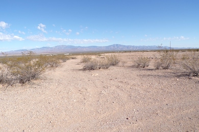 3192 S Amethyst Rd, Golden Valley, AZ 86413 - photo 5