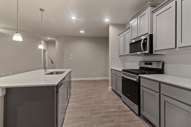 555 Smart Strike Trail, Granbury, TX 76049 - photo 3