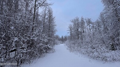 48609 S Tussle Cir, Willow, AK 99688 - photo 7