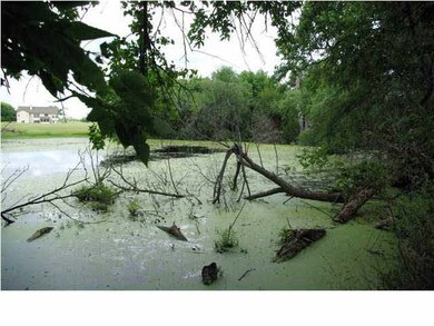 Pond in Trees, North Side