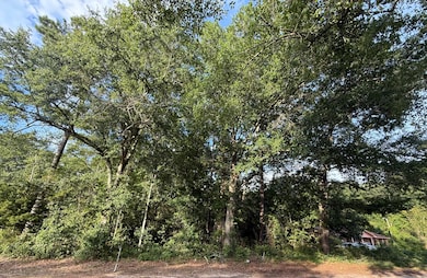 0 Hidden Dr unit 25019415, Orangeburg, SC 29115 - photo 2