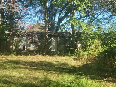 213 Jean St, Paris, TN 38242 - photo 6