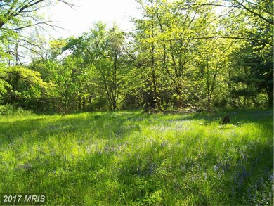35321 Snake Hill Rd, Middleburg, VA 20117 - photo 3
