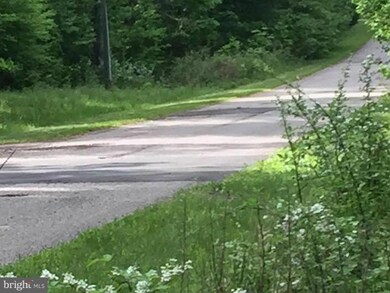 0 Swan Woods Rd unit 1003762273, Rhoadesville, VA 22542 - photo 3