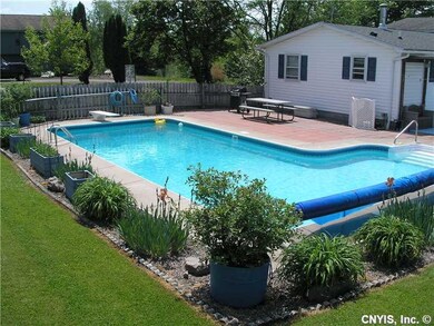 Pool In Ground. Beautiful landscaping and patio!