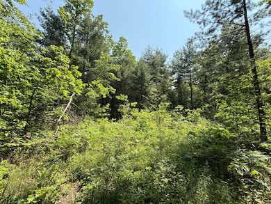 0 Austin Rd unit 25019198, Cedar Creek Township, MI 49457 - photo 7